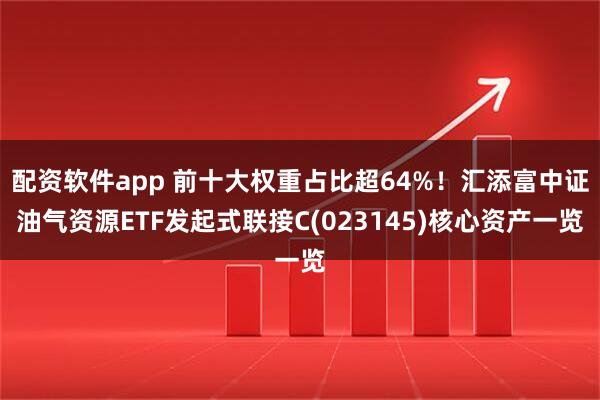 配资软件app 前十大权重占比超64%！汇添富中证油气资源ETF发起式联接C(023145)核心资产一览